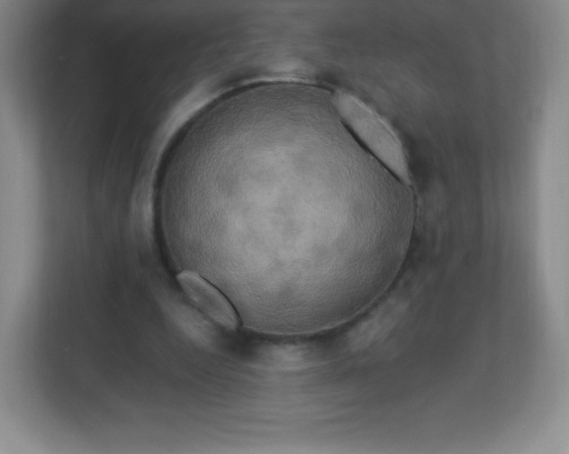 X0000113050344200909031336