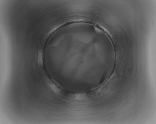 X0000113050345200909031336