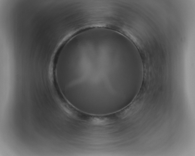 X0000113050346200909031336