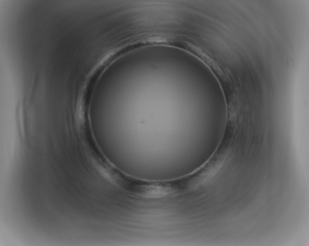 X0000113050347200909031336