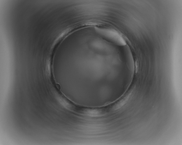 X0000113050349200909031336