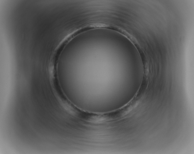 X0000113050351200909031336