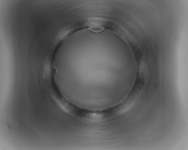 X0000113050352200909031336