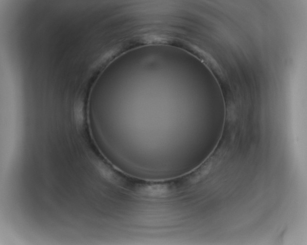 X0000113050353200909031336