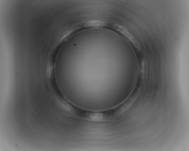 X0000113050355200909031336