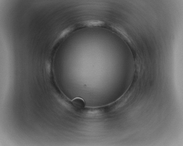 X0000113050357200909031336