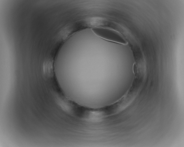 X0000113050360200909031336