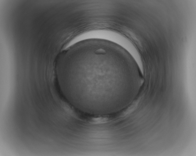 X0000113050362200909031336