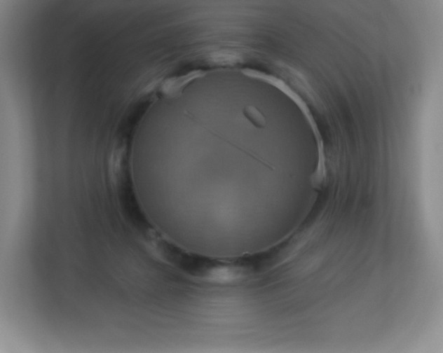 X0000113050364200909031336