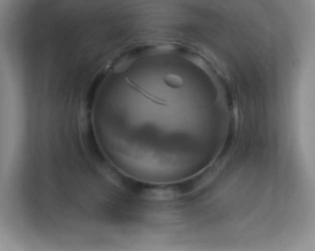 X0000113050366200909031336