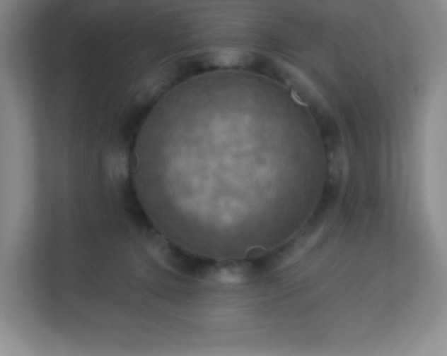 X0000113050368200909031336