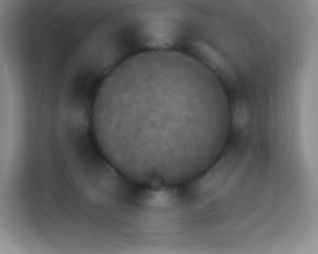 X0000113050370200909031336