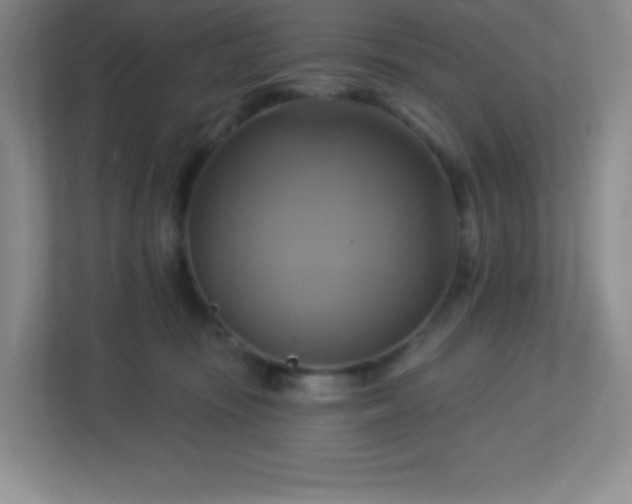 X0000113050371200909031336