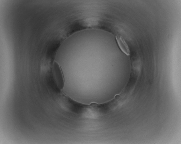 X0000113050372200909031336