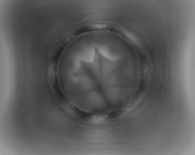 X0000113050373200909031336