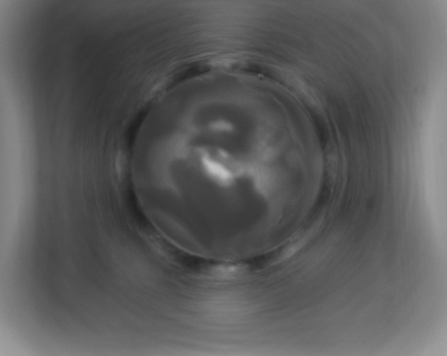 X0000113050375200909031336