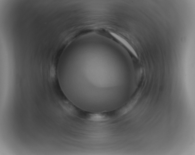 X0000113050380200909031337