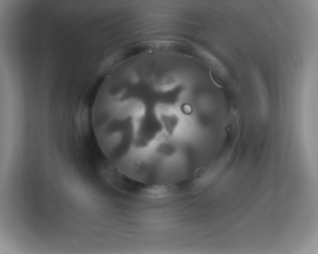 X0000113050381200909031337