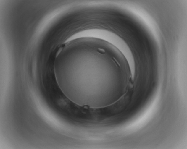 X0000113050382200909031337