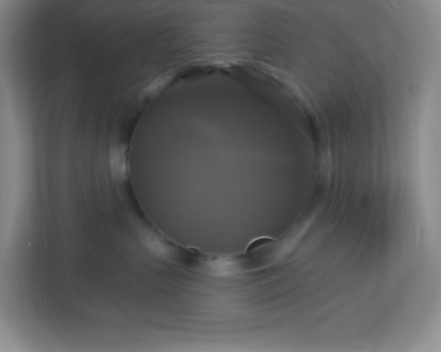 X0000113050383200909031337