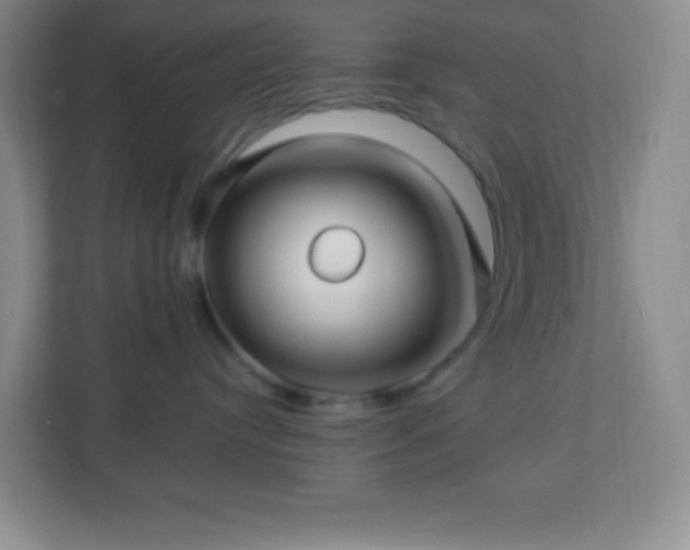 X0000113050384200909031337