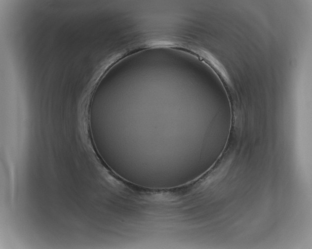 X0000113050385200909031336