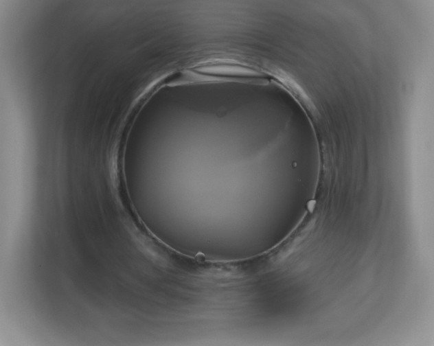 X0000113050386200909031336