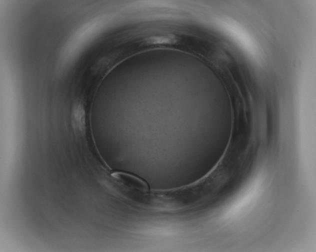 X0000113050387200909031336