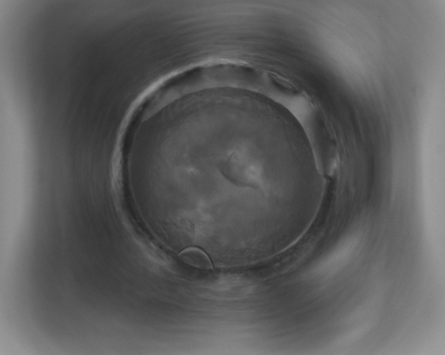 X0000113050388200909031336