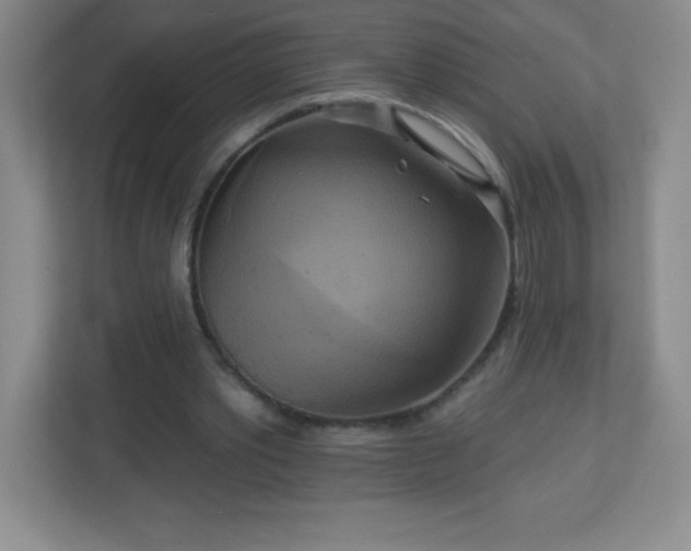 X0000113050389200909031336