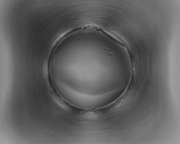 X0000113050390200909031336