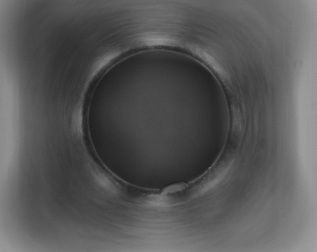 X0000113050391200909031336