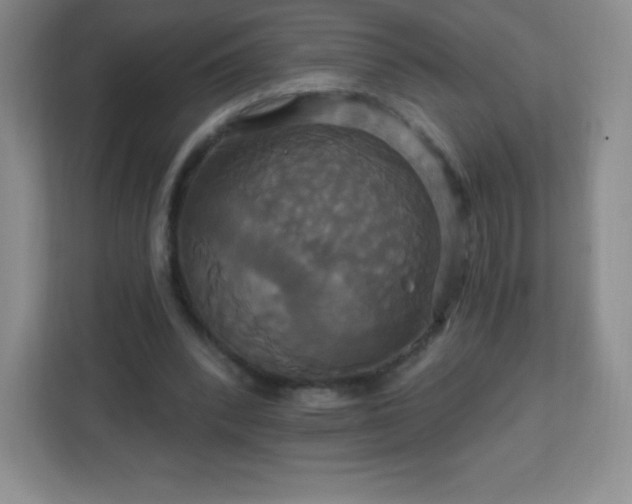 X0000113050392200909031336