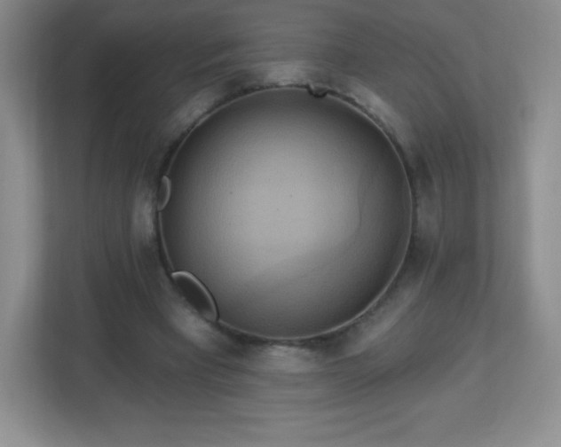 X0000113050393200909031336