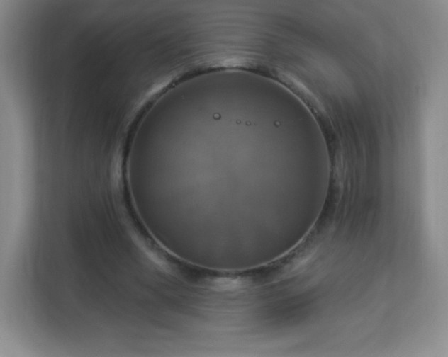 X0000113050394200909031336