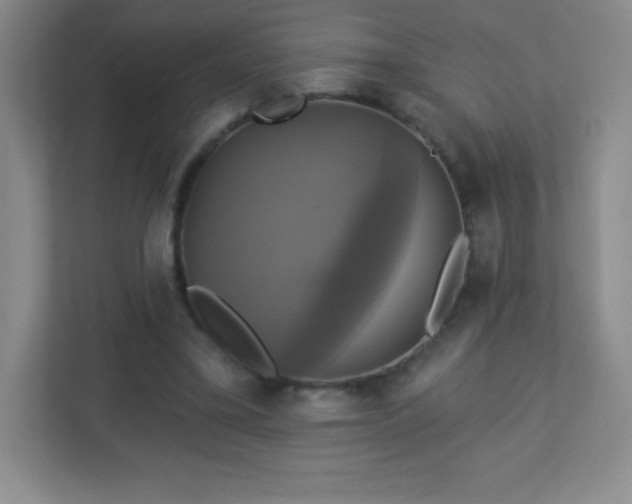 X0000113050395200909031336