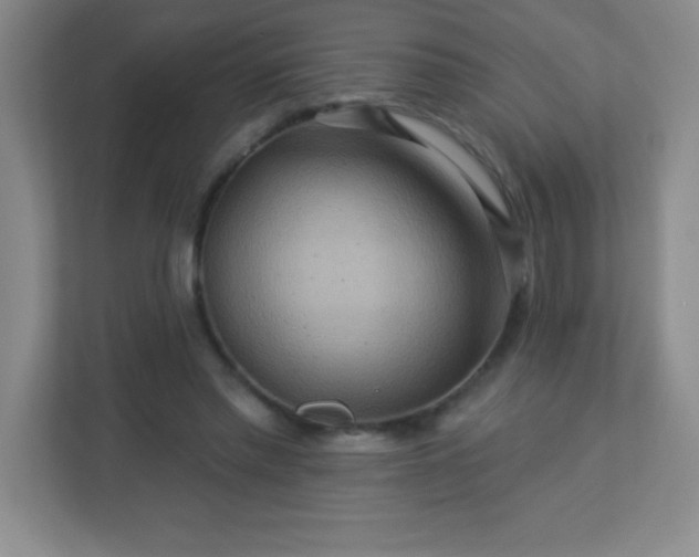 X0000113050397200909031336