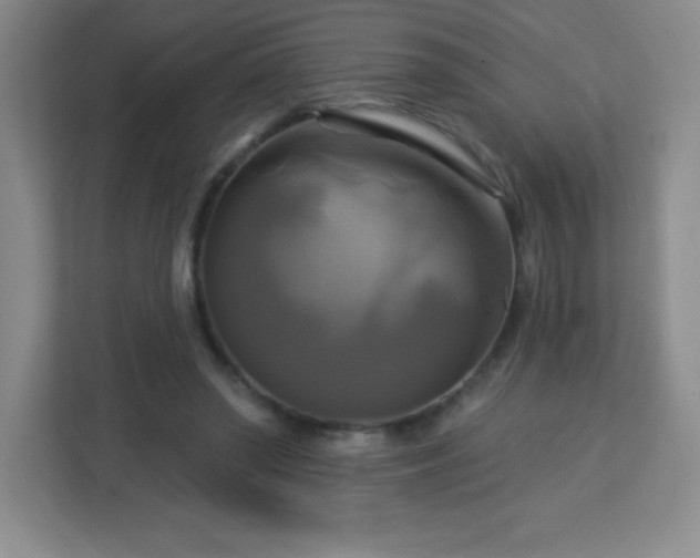 X0000113050398200909031336