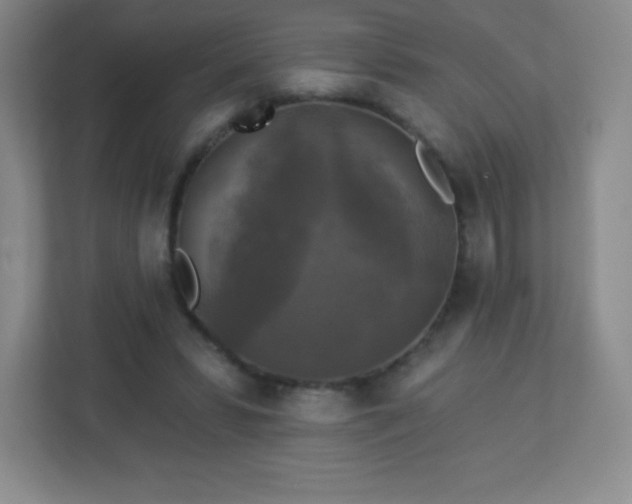 X0000113050399200909031336