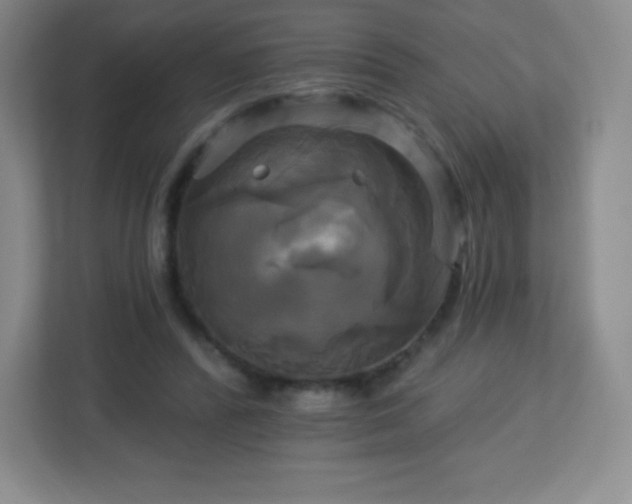 X0000113050400200909031336