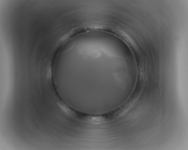 X0000113050401200909031336