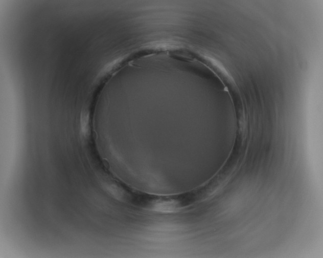 X0000113050403200909031336