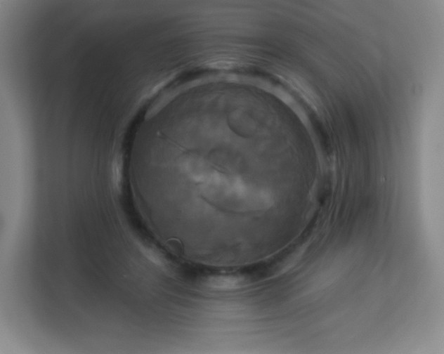 X0000113050404200909031336