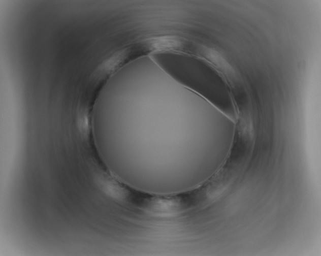 X0000113050405200909031336