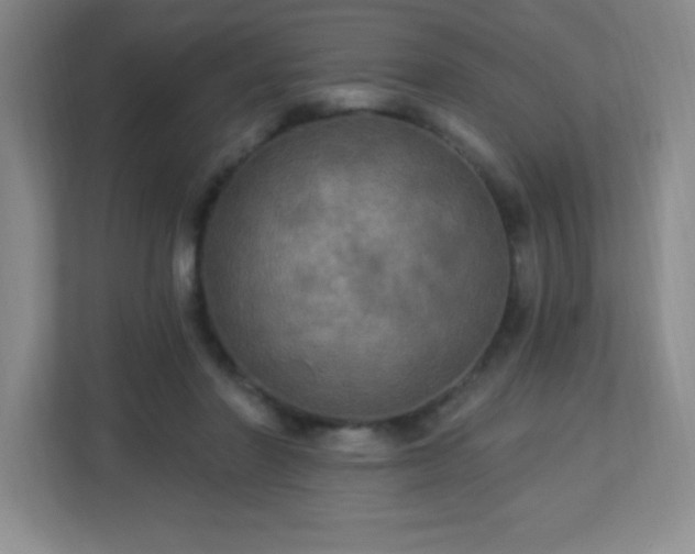 X0000113050406200909031336