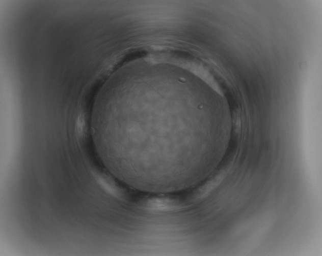 X0000113050408200909031336