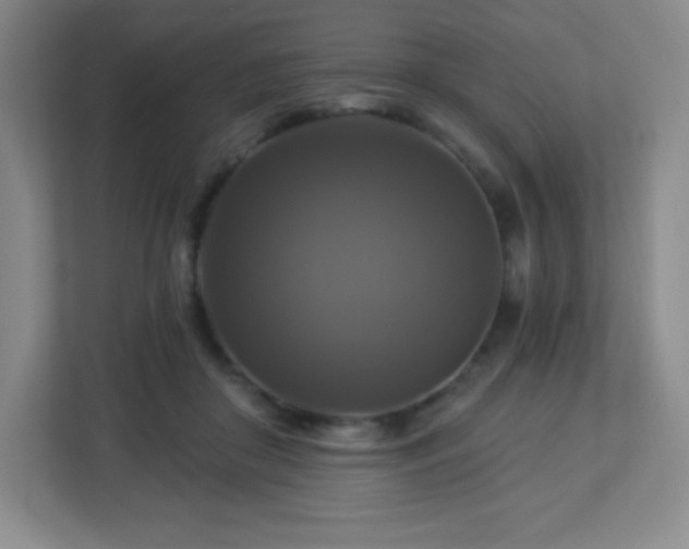 X0000113050410200909031336