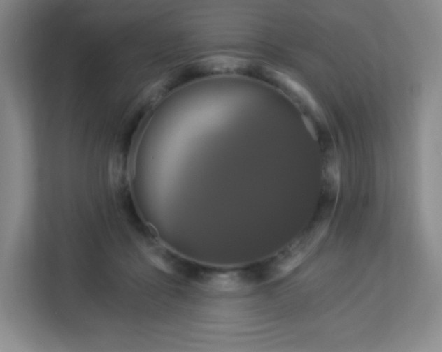 X0000113050411200909031336