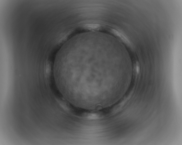 X0000113050412200909031336