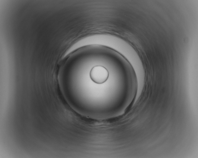 X0000113050415200909031336